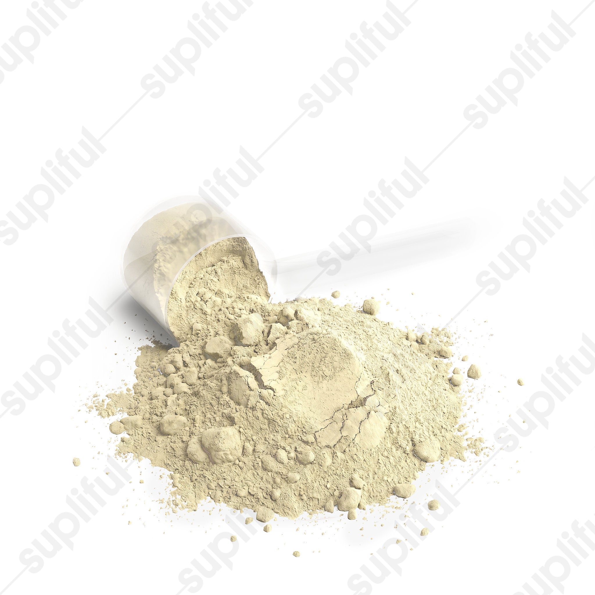 Performance Whey Protein Blend (Vanilla)